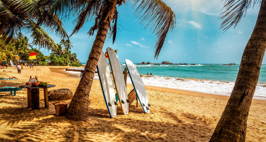 Discover Sri Lanka